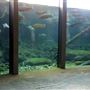 Turtle Bay Exploration Park