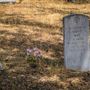 Ono Cemetery