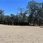 Field to Fork Farm