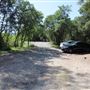 Black Swan Trail