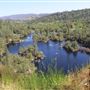 Black Swan Trail