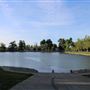 Ellis Lake