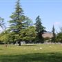 Sutter Cemetery