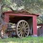 Camp Carmel Valley