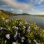 Humboldt Lagoons State Park (SP) / Big Lagoon, Stone Lagoon, Dry Lagoon & Freshwater Lagoon