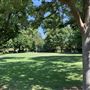 Arden Oaks