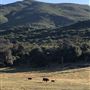 Garbani Ranch