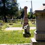 Sacramento Historic City Cemetary