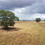 Various Rural Farms And Ranches