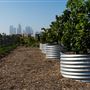 Los Angeles State Historic Park (SHP)