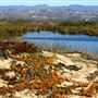 McGrath State Beach (SB)