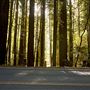Navarro River Redwoods State Park (SP)