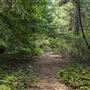 Reynolds Wayside Campground State Park (SP)