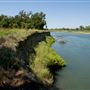 Woodson Bridge State Recreation Area (SRA)