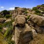 Santa Susana Pass State Historic Park (SHP) and former Spahn Movie Ranch