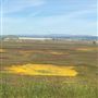 Oroville Wildlife Area - California Department of Fish & Wildlife (CDFW)