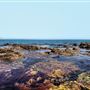 Terranea Resort and Terranea Beach Sea Caves