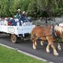 Wonder Valley Resort, Dude Ranch & Equestrian Center