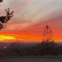 The Laub Mountaintop Ponderosa Estate
