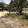 Red Thorne Ranch / The Barn Loft / Mini Petting Zoo