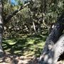 Canyon Ranch