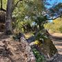Canyon Ranch