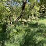 Canyon Ranch