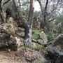 Canyon Ranch
