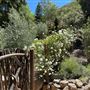 Canyon Ranch