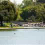William R. Mason Regional Park