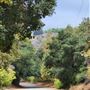 Franklin Canyon Park - Santa Monica Mountains Conservancy - SMMC