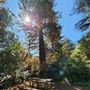 Franklin Canyon Park - Santa Monica Mountains Conservancy - SMMC