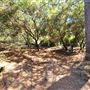 Franklin Canyon Park - Santa Monica Mountains Conservancy - SMMC