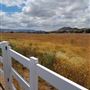 Agua Dulce Airpark