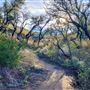 Charmlee Wilderness Park