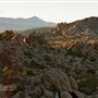 160 Acres