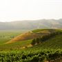 Santa Barbara Wine Country