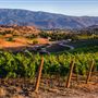 Santa Barbara Wine Country