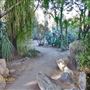 Moorten Botanical Garden