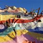 Salvation Mountain