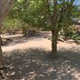 Los Angeles Zoo & Botanical Gardens - LA Zoo