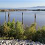 North Shore Beach and Yacht Club - Salton Sea - Water Vistas