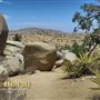 Boulder Gardens Sanctuary