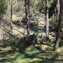Idyllwild Regional Park