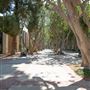 University of California, Los Angeles - UCLA