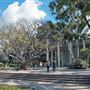University of California, Los Angeles - UCLA