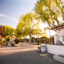 California Mid-State Fair - 16th DAA