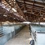 California Mid-State Fair - 16th DAA