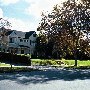 Hancock Park Neighborhood
