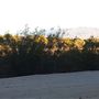 Kemper Campbell Ranch
